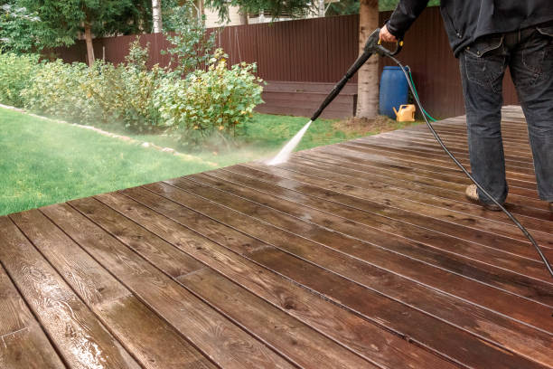 Animal Enclosure Cleaning in Tome, NM